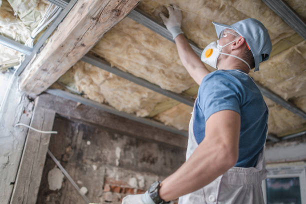 Best Eco-Friendly Insulation in Hesperia, CA